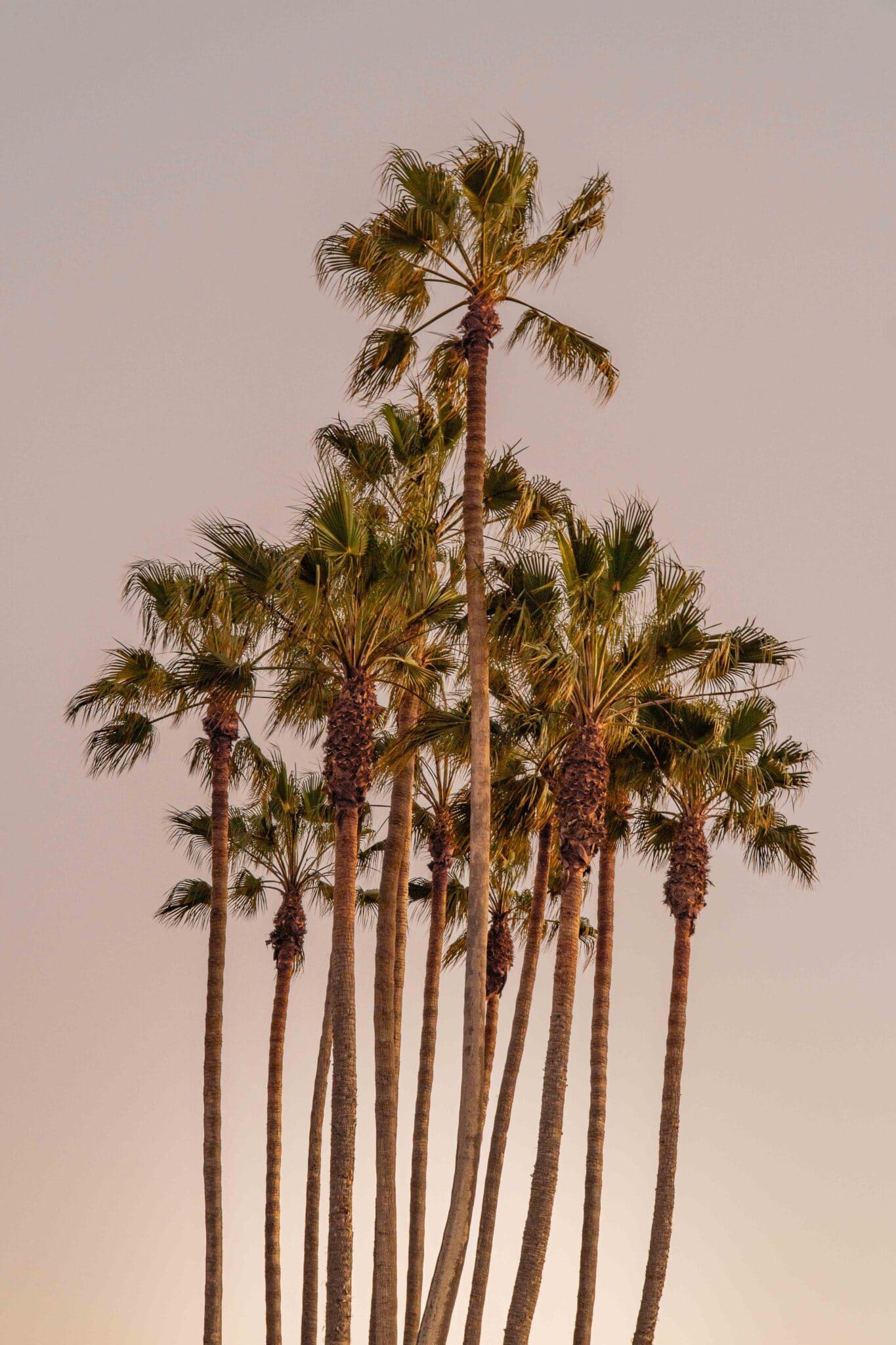 The Ultimate Solo Travel Survival Guide