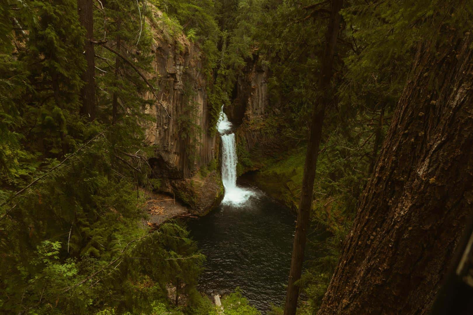 Toketee Falls viewed through the forest from above the basalt canyon