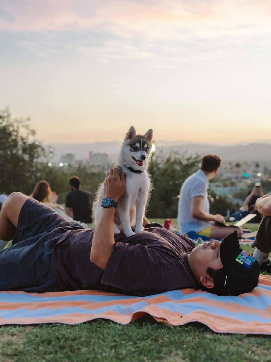 Rocket sitting on a picnic blanket at Barnsdall Art Park