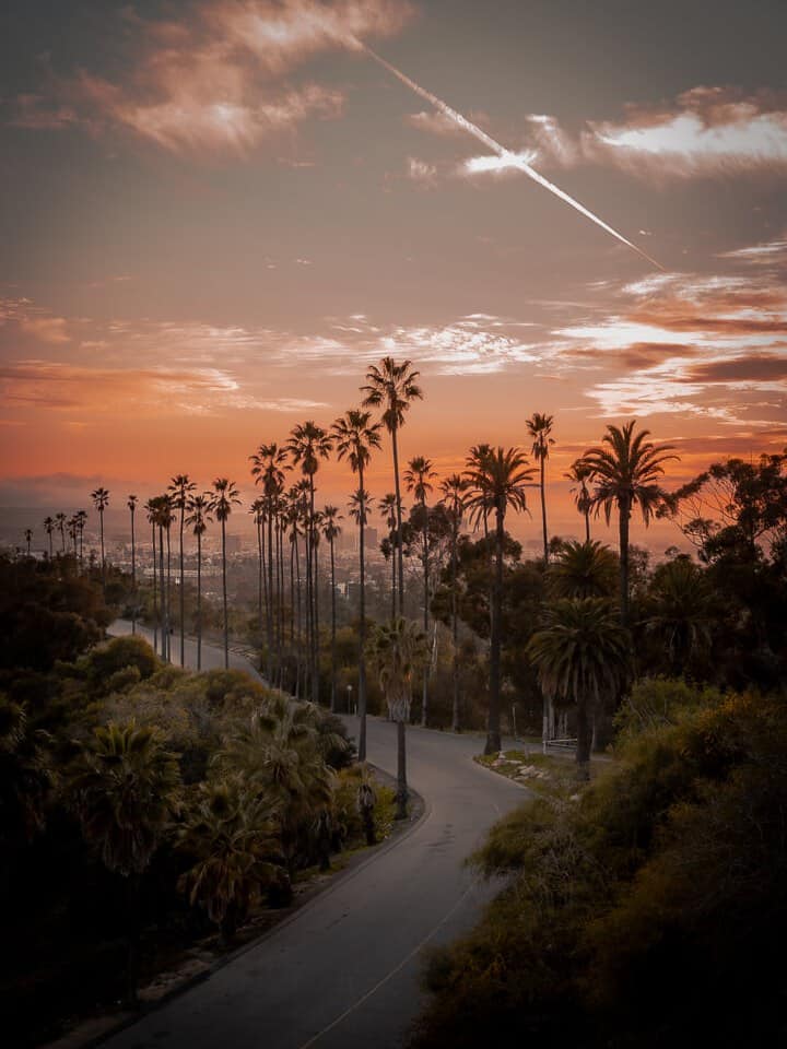 A path and palm trees beneath a colorful Elysian Park sunset