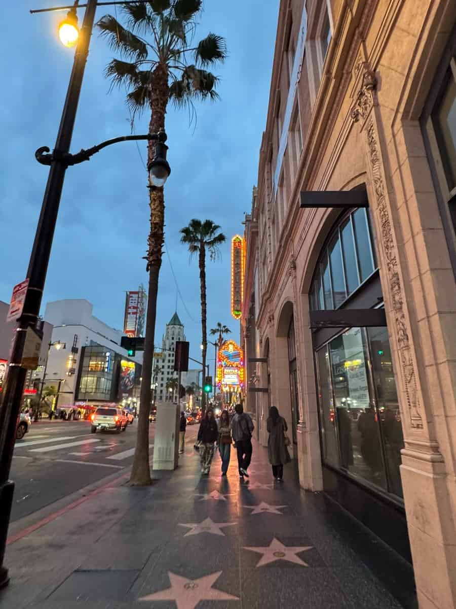 Stars on the Hollywood Walk of Fame beside palm trees
