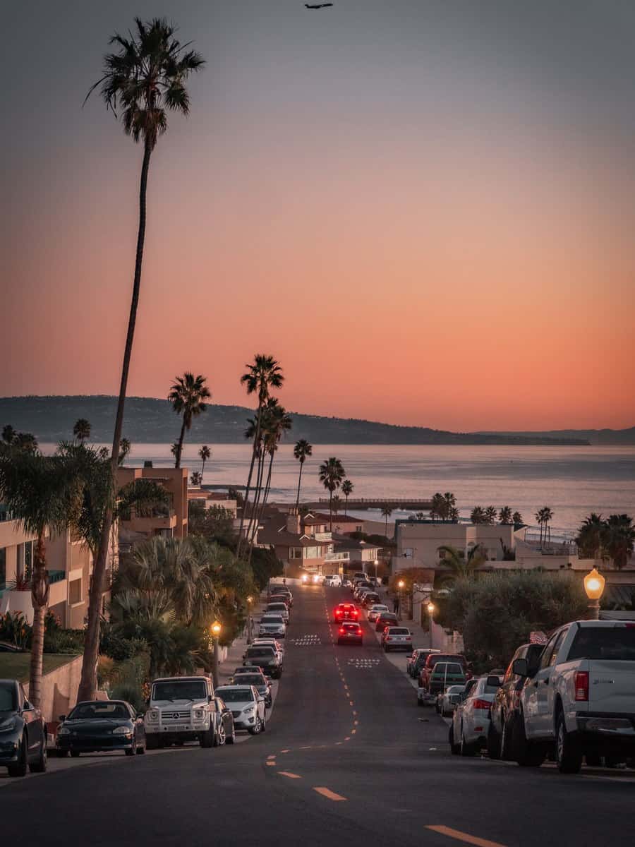 Palm-lined street leading toward the water at sunset