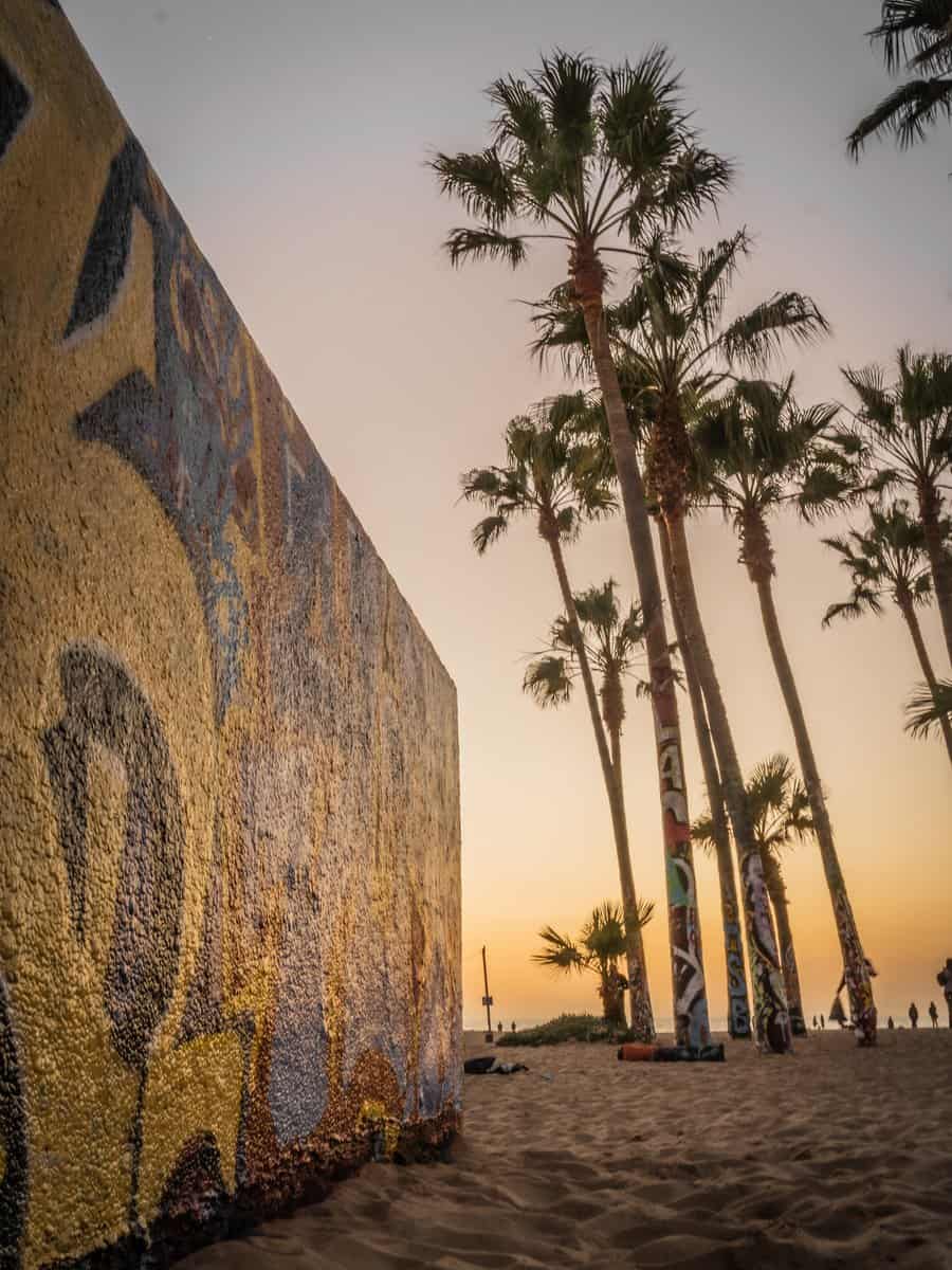 Palm trees and a painted wall beside Venice Beach at sunset