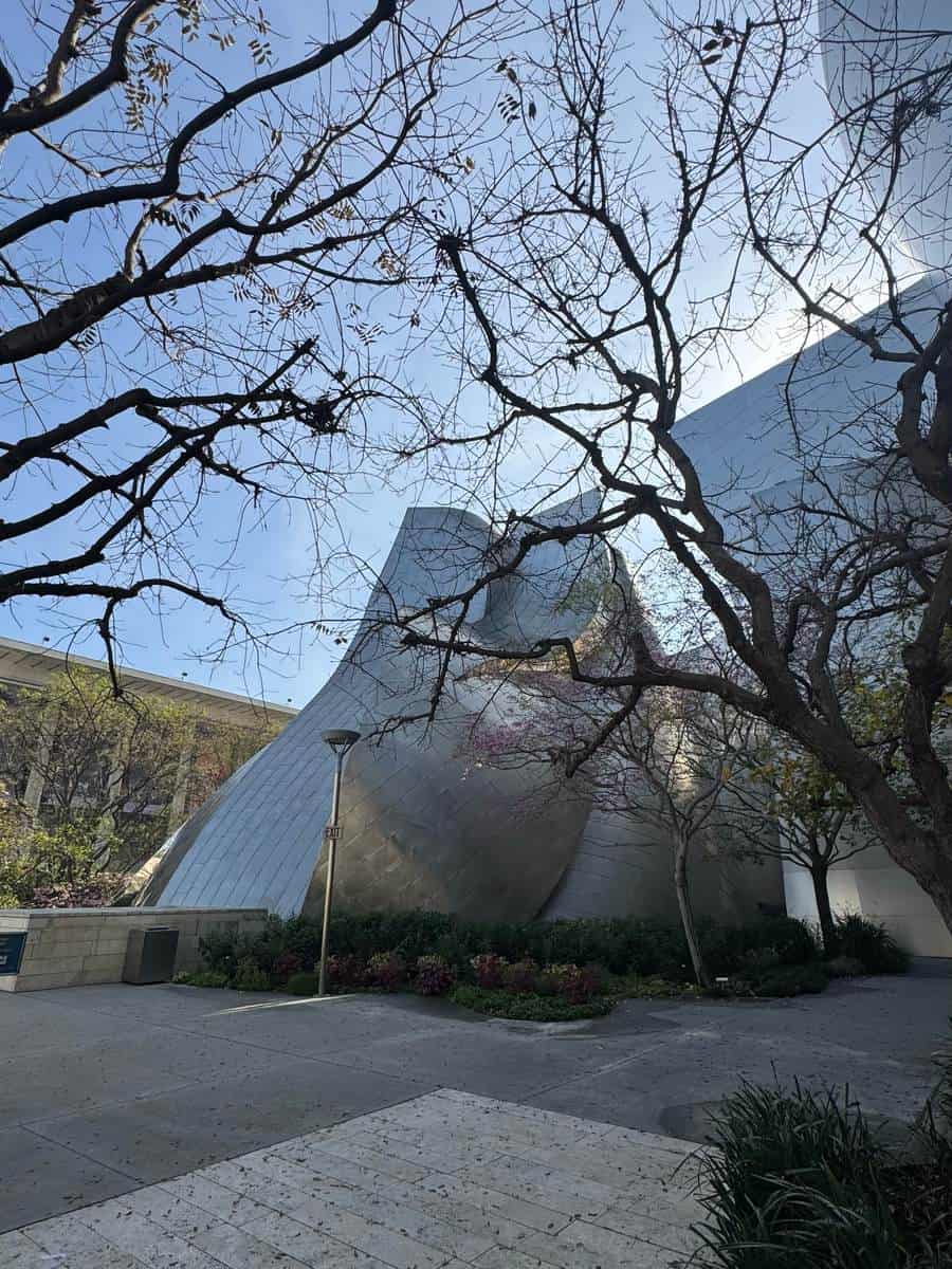 Walt Disney Concert Hall metal exterior seen through tree branches