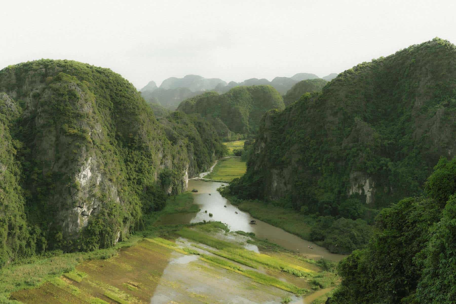 River and rice fields between limestone cliffs seen from Mua Cave viewpoint