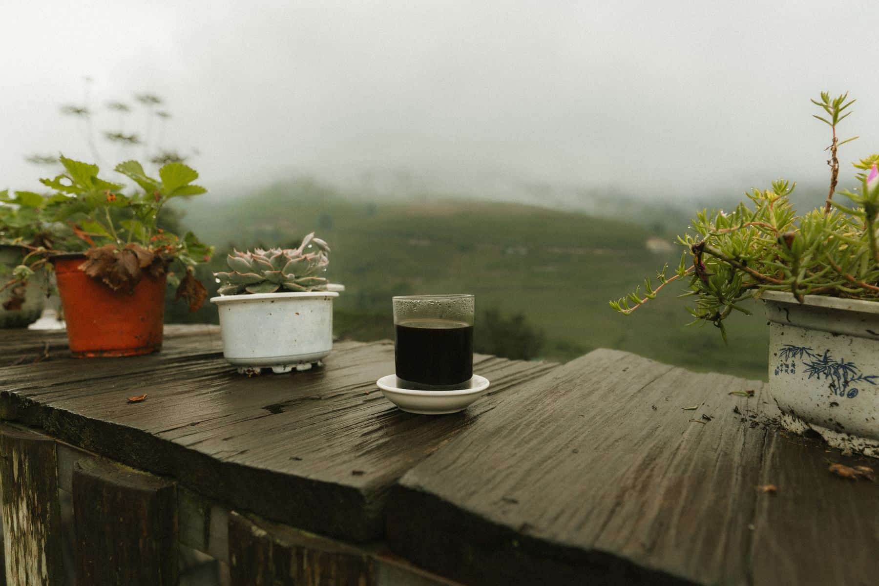 Coffee and potted plants on a homestay terrace overlooking misty rice fields