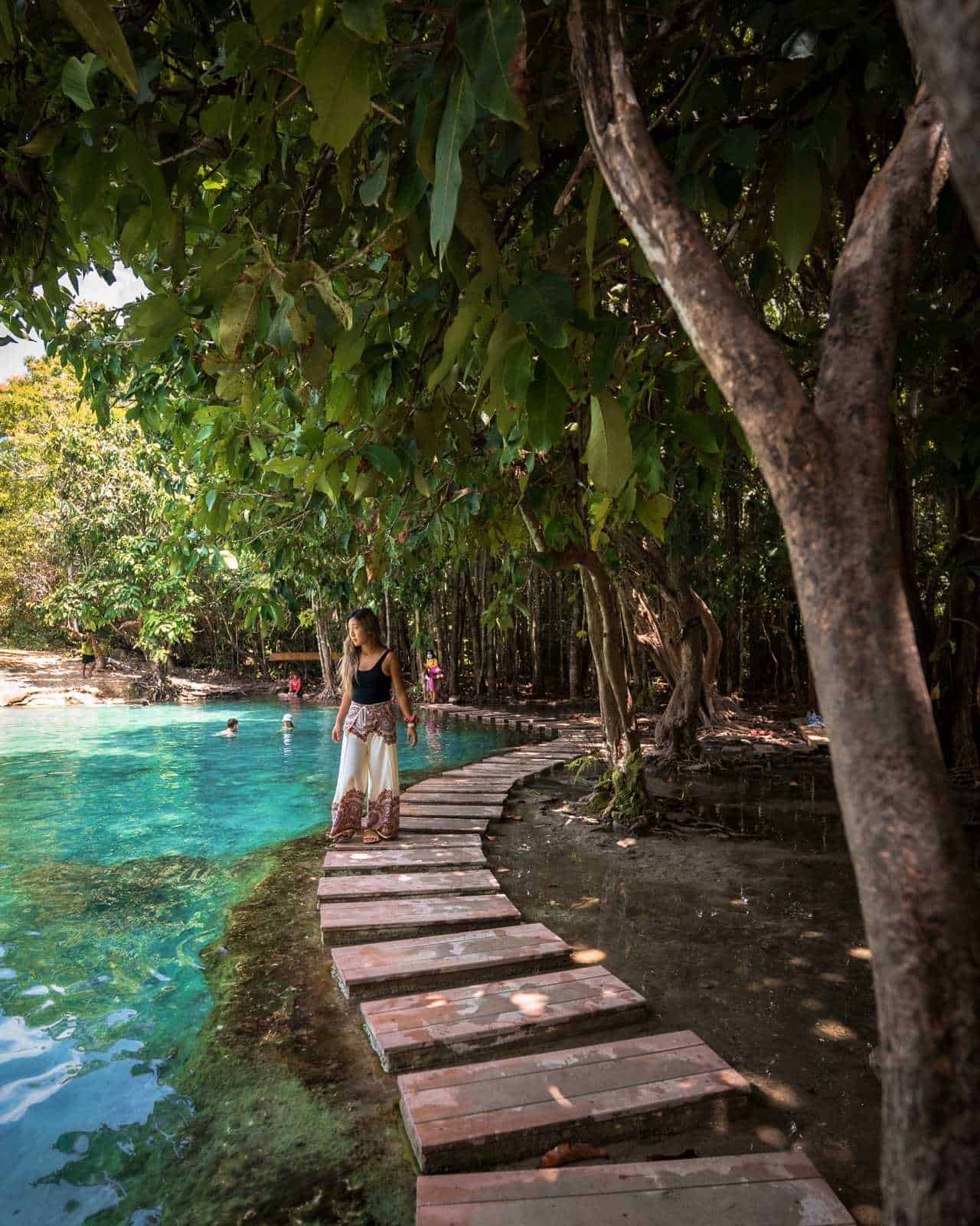 Boardwalk at the Emerald Pool in Krabi