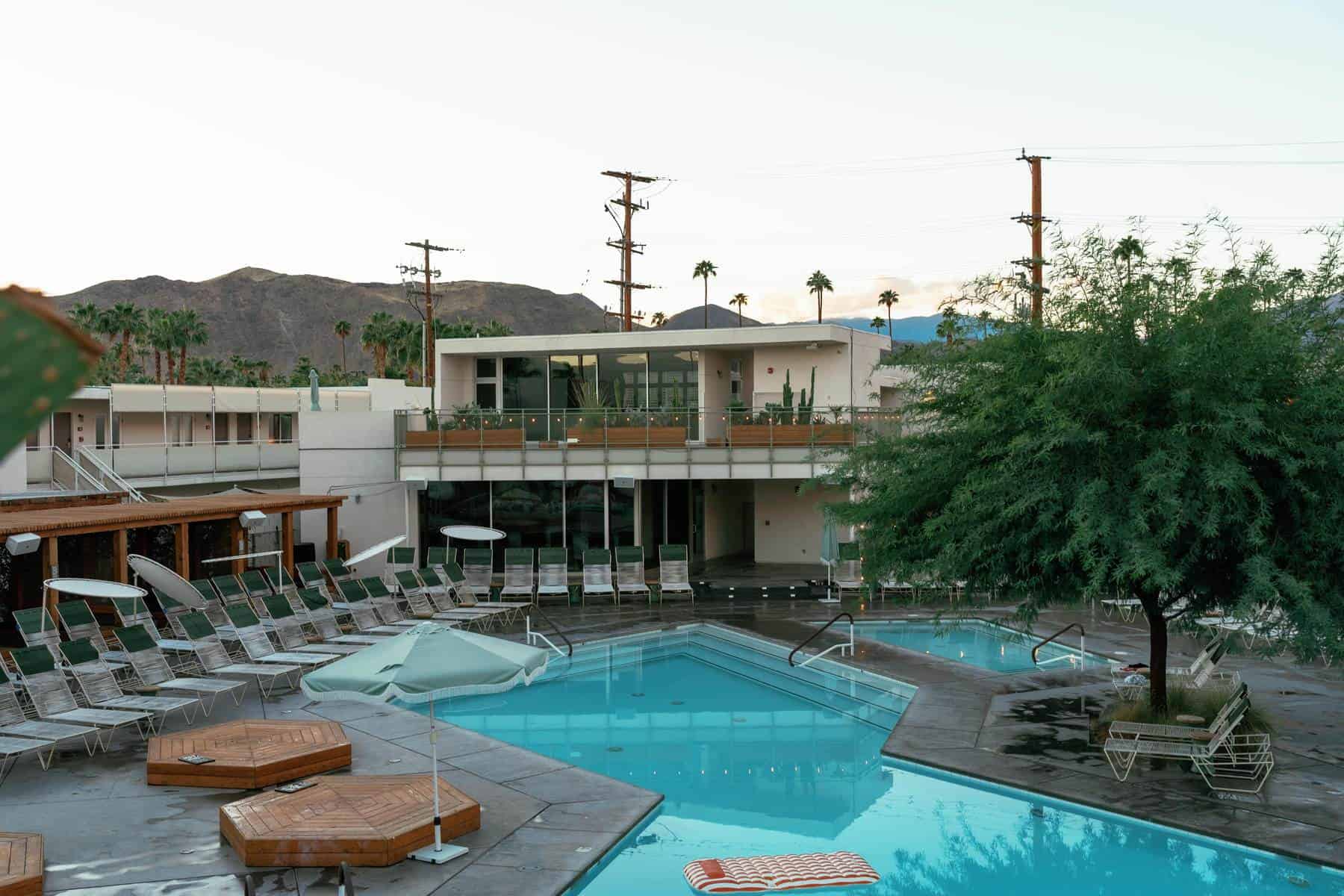 The pool at Ace Hotel Palm Springs, lined with lounge chairs and umbrellas, with palm trees and mountains behind